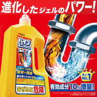 パイプユニッシュ パイプクリーナー 液体タイプ 800g パイプ掃除 お風呂 排水溝 排水口 洗浄 ジョンソン（イチオシ）（わけあり品）