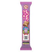 プチ　しっとりクッキー 47g 1セット（1個×10）