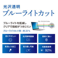 ナカバヤシ Surface Laptop 13インチ ディスプレイ保護フィルム 光沢透明 TBF-SFL251FLKBC 1枚