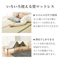 【軒先渡し】萩原 畳セミダブルベッド 幅1300×奥行2160×高さ125mm クラマ WB-7727SD-LBRクラマ 1台（直送品）