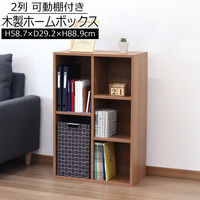 エイ・アイ・エス 可動棚ホームボックス 幅587×奥行292×高さ889mm ブラウン MBS-06 BR 1台（直送品）