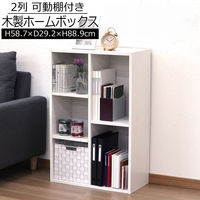 エイ・アイ・エス 可動棚ホームボックス 幅587×奥行292×高さ889mm ホワイト MBS-05 WH 1台（直送品）