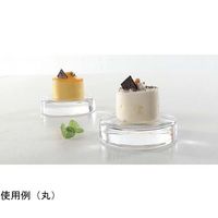 アズワン ミニチュア ガラスプレート 95×95×22mm 67-6922-97 1個（直送品）