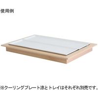 スギコ産業 GN サイズトレイ 2/4 67-8156-06 1個（直送品）