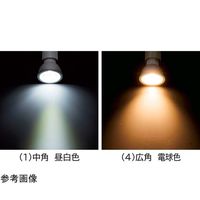 アズワン 調光対応ダクト用LEDランプ付きスポット 電球色 中角 68-0317-01 1個（直送品）