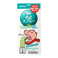健栄のどスプレー 12ml 健栄製薬　のどのあれ・痛み・はれ ポビドンヨード配合【第3類医薬品】