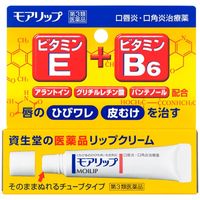 モアリップN 8g 資生堂薬品 唇のひびわれ 口角炎【第3類医薬品】