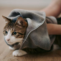 無印良品 マイクロファイバー ポケット付ペット用タオル ３４×３５ｃｍ チャコール 良品計画