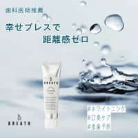 CANAL B BREATH トゥースペースト 80g 歯磨き粉 CA-007 1本（直送品）
