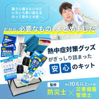 熱中症対策キット シェア 39点 シルバー 1セット 熱中症対策用品 複数人向け 塩分補給パウダー 熱中症対策グッズ ATD001（直送品）