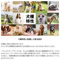 ウェルケア レトリーバー専用 シニア 大粒タイプ 国産 6kg 1袋 イースター ドッグフード