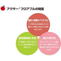 BASFジャパン BASF アクサーフロアブル 250ml BASF2056325 1本（直送品）