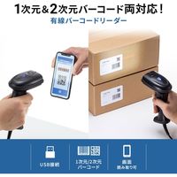 バーコードリーダー USB接続 2次元 1次元両対応 ハンディタイプ 画面読み取り可能 JAN UPC ITF QRコード対応 1個（直送品）