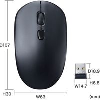 サンワサプライ 静音ワイヤレステンキーマウスセット NT-WL23SETBK 1個（直送品）