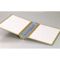 ライオン事務器 バインダー A4E 20穴 200枚収納 NO.20B 15501 1冊