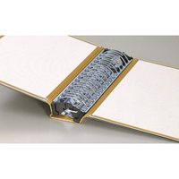 ライオン事務器 バインダー A3E 30穴 200枚収納 NO.309 15505 1冊