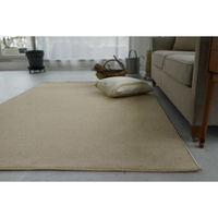 スミノエ コンシェルジュ エコロア100 防炎 ラグ ECR104 3500×4000mm ライトベージュ 1枚（直送品）