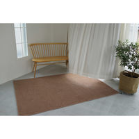 スミノエ コンシェルジュ エコロア100 防炎 ラグ ECR105 3500×5000mm ブラウン 1枚（直送品）