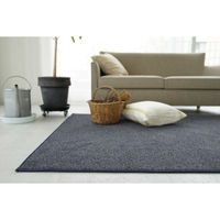 スミノエ コンシェルジュ エコロア100 防炎 ラグ ECR111 2500×3000mm ブルー 1枚（直送品）