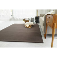 スミノエ コンシェルジュ LONGFORD 防炎 ラグ ロングフォード LGF6 3500×5000mm ブラウン 1枚（直送品）