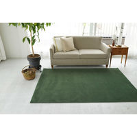 スミノエ コンシェルジュ WOOL REX 防炎 ラグ ウールレックス WR26 2500×3000mm ダークグリーン 1枚（直送品）