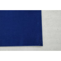 スミノエ コンシェルジュ WOOL REX 防炎 ラグ ウールレックス WR30 2000×2500mm コバルトブルー 1枚（直送品）