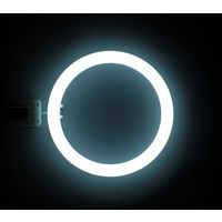 アイリスオーヤマ 丸形LEDランプ シーリング用 昼光色 LDCL3032SS/D/27-C(272962) 1台（直送品）