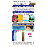 ダリヤ サロンドプロ　無香料ヘアカラー　早染めクリーム（白髪用）　４ＧＲ　グレイスブラウン 4904651183487 1個×3点（直送品）