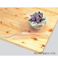 明和グラビア オーダー透明シート 1950×750×3.0mm厚 オーダー透明シート 1950mm×750mm×3.0mm厚 1枚（直送品）