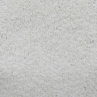 玄関マット 万能タイプ スタンダードマットS 40×60cm AM00168 1枚 クリーンテックス・ジャパン（直送品）