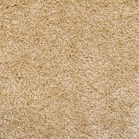 玄関マット 万能タイプ スタンダードマットS 50×75cm AM00177 1枚 クリーンテックス・ジャパン（直送品）