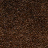 クリーンテックス・ジャパン 玄関マット 万能タイプ スタンダードマットS 75×120cm AM00194 1枚