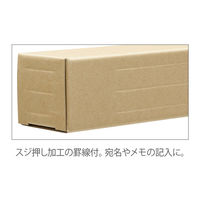 マルアイ ポスターケース クラフト A1 5枚入 CA-5A1 1セット(2パック)