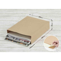 マルアイ 藤壺 マチ付宅配封筒 クラフト A4 5枚入 PT-MA4 1セット(5袋)