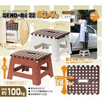 トレードワン セノ・ビー22cmがっしり君 22cm 30207 1台