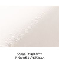 ハネクトーン早川 フリル袖タックブラウスT ホワイト L WP324-7-L 1枚（直送品）