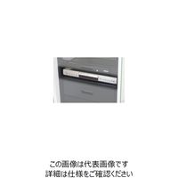 共栄商事 オーロラ EIA用固定棚 2U EIAーS2 1台(1個)（直送品）
