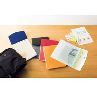 ライオン事務器 ホルダーファイル〈ビジカル〉 フタ付 A4S PH-13BF ブルー(青) 13771 1セット(5冊)