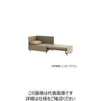 イトーキ ソファベッド アイブルー LHC-100LD-S7 1台 7-8565-03（直送品）