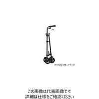 フジホーム ハンドレールステッキII ブーケ WB5134 1本 7-8689-02（直送品）