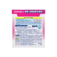 ビック 除菌プラス 2.5kg 1箱（6個入） 花王
