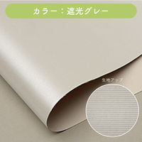 【1cm単位】高機能「遮光」「遮熱」ロールスクリーン幅111cmx高さ120cm jia4162-jia_w111h120 トーソー（直送品）