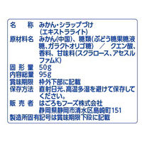 パウチ 朝からフルーツ みかん 使い切り 95g 1セット（10個） はごろもフーズ