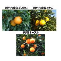 ひとくち柑橘（柑橘ピール入り）10g×4個 6袋 アヲハタ ゼリー デザート 洋菓子