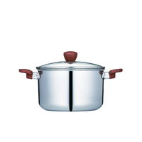 ベストコ フィライト　ＩＨシチューポット　２２ｃｍ　ミラー ND-5544 1個（直送品）