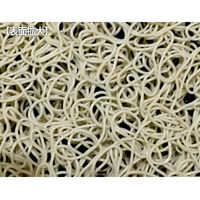 ベストコ 玄関マット エントランス ウェルカムブリックス 24×55cm ND-9913 1個