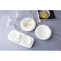 パール金属 コレール ウインターフロストホワイト ミニプレートJ405ーN CP-8934 1個