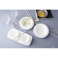 パール金属 コレール ウインターフロストホワイト 中皿J108ーN CP-8909 1個