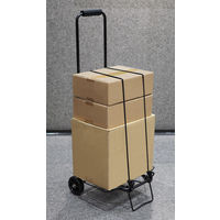 ハピラ ハンドキャリー(フック付ゴムロープ付) 耐荷重25kg 1セット（3台）