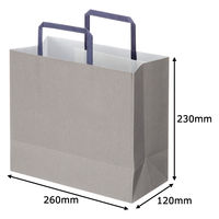 アスクルカタログリサイクル紙袋「Come bag/カムバッグ」平紐タイプ 260×230×120mm 1袋（50枚入） オリジナル